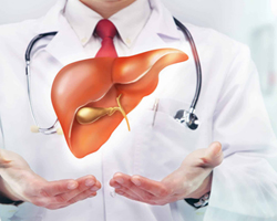 Strong Liver-Strong Woman