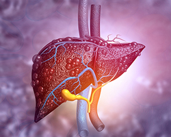 Strong Liver, Strong Woman