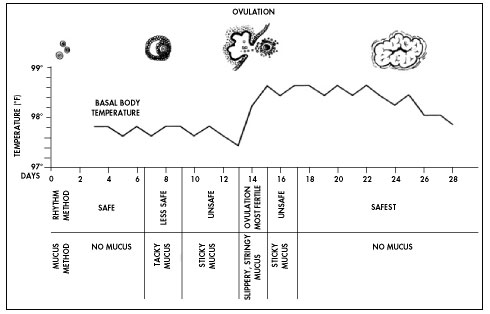 Calendar Method Chart Birth Control