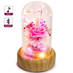 Pink Rose in Glass Dome