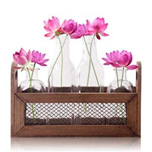 Flower Vases in Wooden Rack