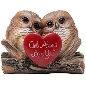 Romantic Owl Always Love You
