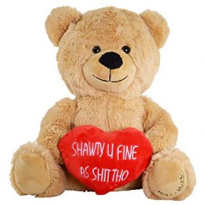 Teddy Bear - Funny and Cute for Girlfriend