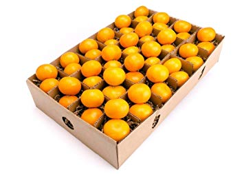 Satsuma Mandarins