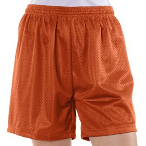 Pro Mesh Shorts