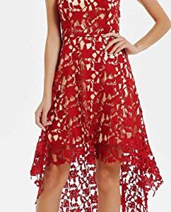 Plus Size Cocktail Dresses