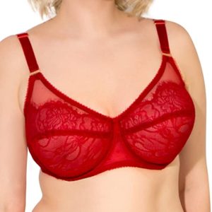 Underwire Bra