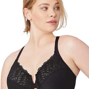 Full Figure Plus Size