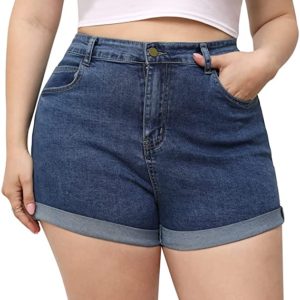 Jean Shorts Distressed