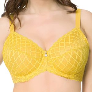 Mesh Plus Size Bra
