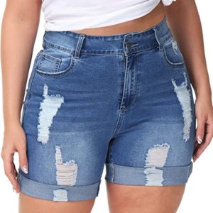 Summer Jean Shorts