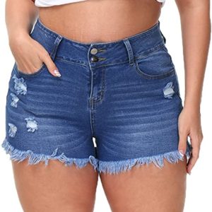 Plus Size Denim Shorts