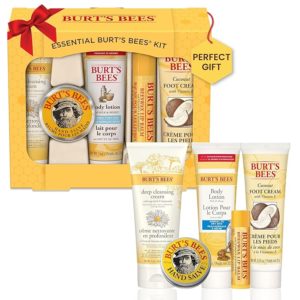Burt's Bees Everyday Essentials Kit Christmas Gifts for Women