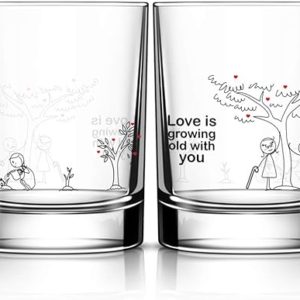BoldLoft Grow Old with You Couple Drinking Glasses