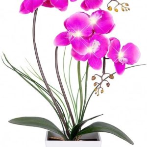 HOMESEASONS Orchid Lamp-LED