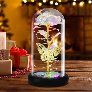 QUELIEN Valentine Rose Gifts for Girlfriend