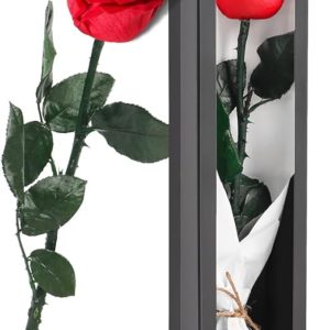 Valentines Day Gifts for Her, Gifts for Women