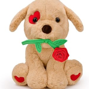 Valentines Day Gifts for Her Women Girlfriend