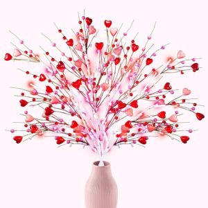 Valentine’s Day Picks with 60LED Pink Lights