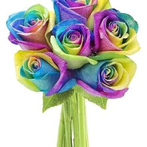 Bouquet of 6 Freshly cut Rainbow Roses
