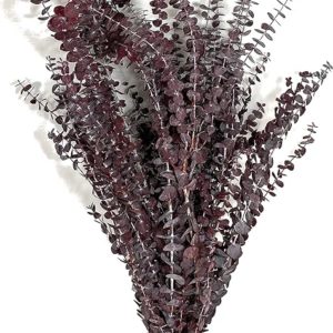 CalCastle Craft California Grown Natural Dried