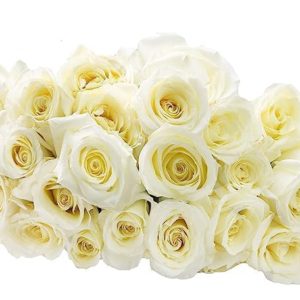 Fresh Cut 25 White Roses