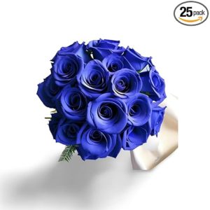 KaBloom PRIME NEXT DAY DELIVERY - Enchanting Indigo