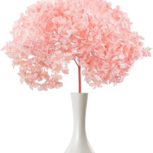 MIHUAGE 1PCS Dried Preserved Pink