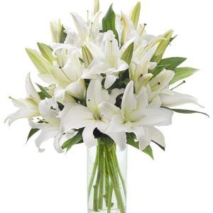 Pure Love Bouquet of Fresh White Lilies with Vase Gift for Sympathy