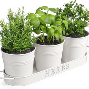 Barnyard Designs Indoor Herb Garden Planter Set with Tray
