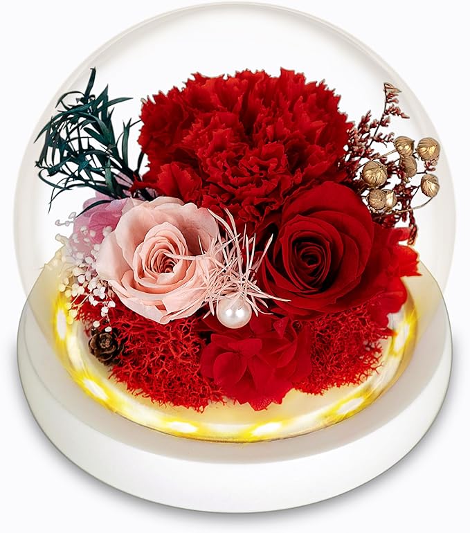 DONODA Preserved Flower Rose Gift for Women,Fresh Flowers Forever Roses with Long-Lasting,Led Light Up Rose in Glass Dome,Christmas DONODA Preserved Flower Rose Gift for Women,Fresh Flowers Forever Roses with Long-Lasting,Led Light Up Rose in Glass Dome,Christmas