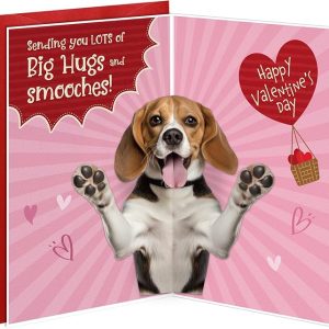 D24TIME Funny Valentines Day Cards Gifts for Him Her Boyfriend Girlfriend Kids Couple Husband Family Friends