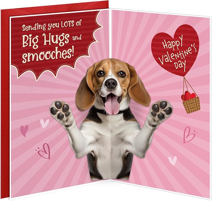 D24TIME Funny Valentines Day Cards Gifts for Him Her Boyfriend Girlfriend Kids Couple Husband Family Friends D24TIME Funny Valentines Day Cards Gifts for Him Her Boyfriend Girlfriend Kids Couple Husband Family Friends