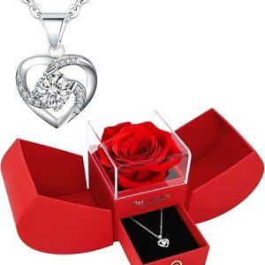 Valentine's Day Gift, Save Rose Necklace for Girlfriend, Rose Box, Rose Necklace, Gift for Girlfriend