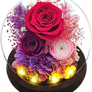 Valentines Day Roses Gifts for Her, Rose in Glass Dome with LED Light - Gifts for Women Mom Grandma Her Girlfriend Wife