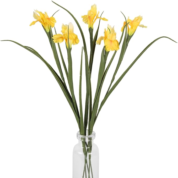 5 Pcs Faux Iris Vase Filler 26.8” Yellow Silk Iris Flowers Artificial Stems for Wedding Bridal Bouquet Living Room Bathroom Home Decor(Yellow) 5 Pcs Faux Iris Vase Filler 26.8” Yellow Silk Iris Flowers Artificial Stems for Wedding Bridal Bouquet Living Room Bathroom Home Decor(Yellow)