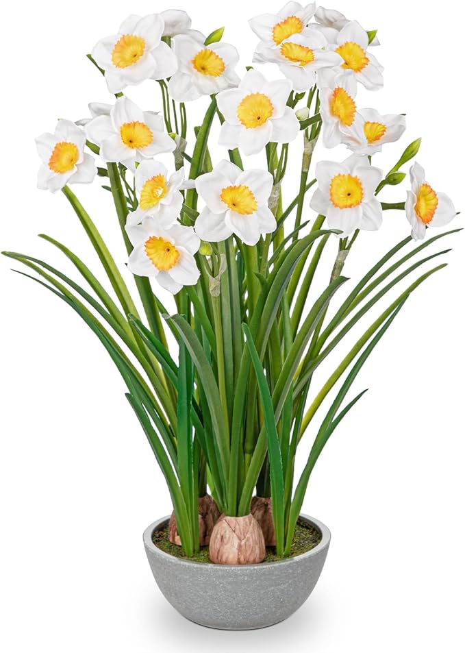 Artificial Flowers in Pot 16 Fuax Daffodil Potted Flowers Plant Decor Room Farmhouse Fake White Flower Plants Centerpieces Desktop Spring Summer Flowers Artificial Flowers in Pot 16" Fuax Daffodil Potted Flowers Plant Decor Room Farmhouse Fake White Flower Plants Centerpieces Desktop Spring Summer Flowers