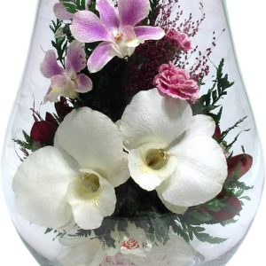 Fiora Flower Elegant Orchid Arrangement in Glass Vase | Preserved Real Orchids Lasting 5 Years | Ideal for Home Decor or Romantic Gift (Opal)