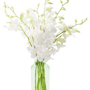 KaBloom Flowers - Exotic Perla White Orchid Bouquet of White Orchids with Vase - Gift for Birthday, Thank You, Valentine, Mother’s Day Fresh Flowers
