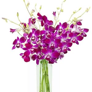 KaBloom Flowers - Bouquet of Purple Orchids from Thailand with Vase - Gift for Birthday, Sympathy, Anniversary, Thank You, Valentine, Mother’s Day Fresh Flowers