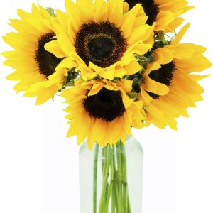 KaBloom Flowers - Smile Bouquet of Fresh Sunflower with Vase - Gift for Birthday, Anniversary, Get Well, Thank You, Valentine, Mother’s Day Fresh Flowers