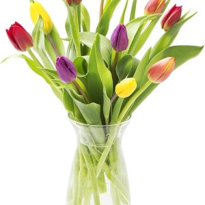 KaBloom PRIME NEXT DAY DELIVERY - Fall Collection - Bouquet of 10 Assorted Tulips with Vase Gift for Birthday, Sympathy, Anniversary, Get Well, Thank You, Valentine, Mother’s Day Flowers