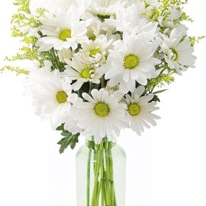 KaBloom Flowers - Bouquet of 10 White Daisy with 5 Yellow Aster -With Vase - Gift for Birthday, Sympathy, Anniversary, Valentine, Mother’s Day Fresh Flowers
