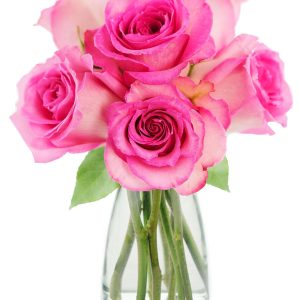 KaBloom Flowers - Sweet Pink Bouquet of 6 Fresh Cut Pink Roses (Farm-Fresh, Long-Stem) with Vase - Gift for Birthday, Sympathy, Anniversary, Get Well