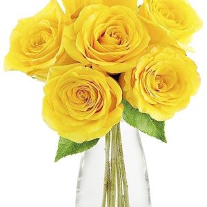 KaBloom PRIME NEXT DAY DELIVERY - Mother’s Day Collection - PREMIUM 6 Yellow Roses With Vase.Gift for Birthday