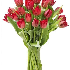 KaBloom PRIME NEXT DAY DELIVERY - Mother’s Day Collection - Valentine's Day Collection - Bouquet of 10 Red Tulips