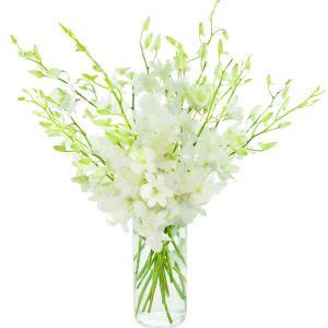 Kabloom PRIME OVERNIGHT DELIVERY - "National" Collection Exotic Perla Orchid Bouquet Of Fresh Orchids with Free Vase Included, 20 White Dendrobium