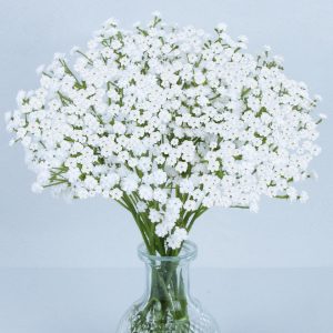 MAQIAHN 6 Baby Breath Artificial Flowers - Babies Breath Flowers Artificial Bulk Faux Flowers Bouquet White Flores Greenery Real Touch Fake Flowers Arrangements