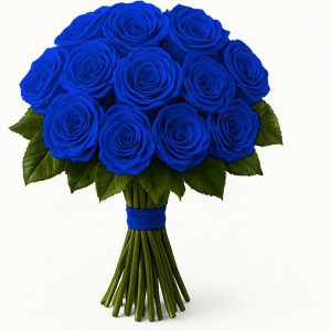One Dozen Fresh Roses Bouquet, 12 Premium 50CM Long-Stem Ecuador Roses, Hand-Tied Floral Arrangement, Fresh Cut Flowers for Valentine’s Day
