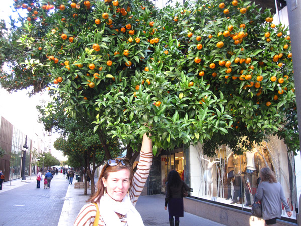 Health benefits of urban fruit trees: Geological Society of America